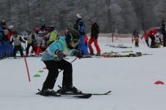 IMG_8066