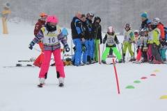 IMG_8078